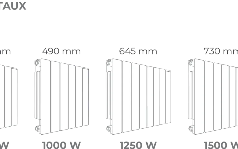 axino_mi_schema_fialire_001.png